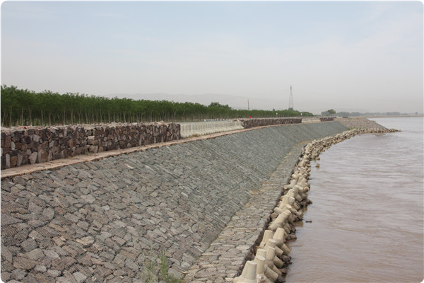 中衛(wèi)市倪灘控導(dǎo)工程險工治理